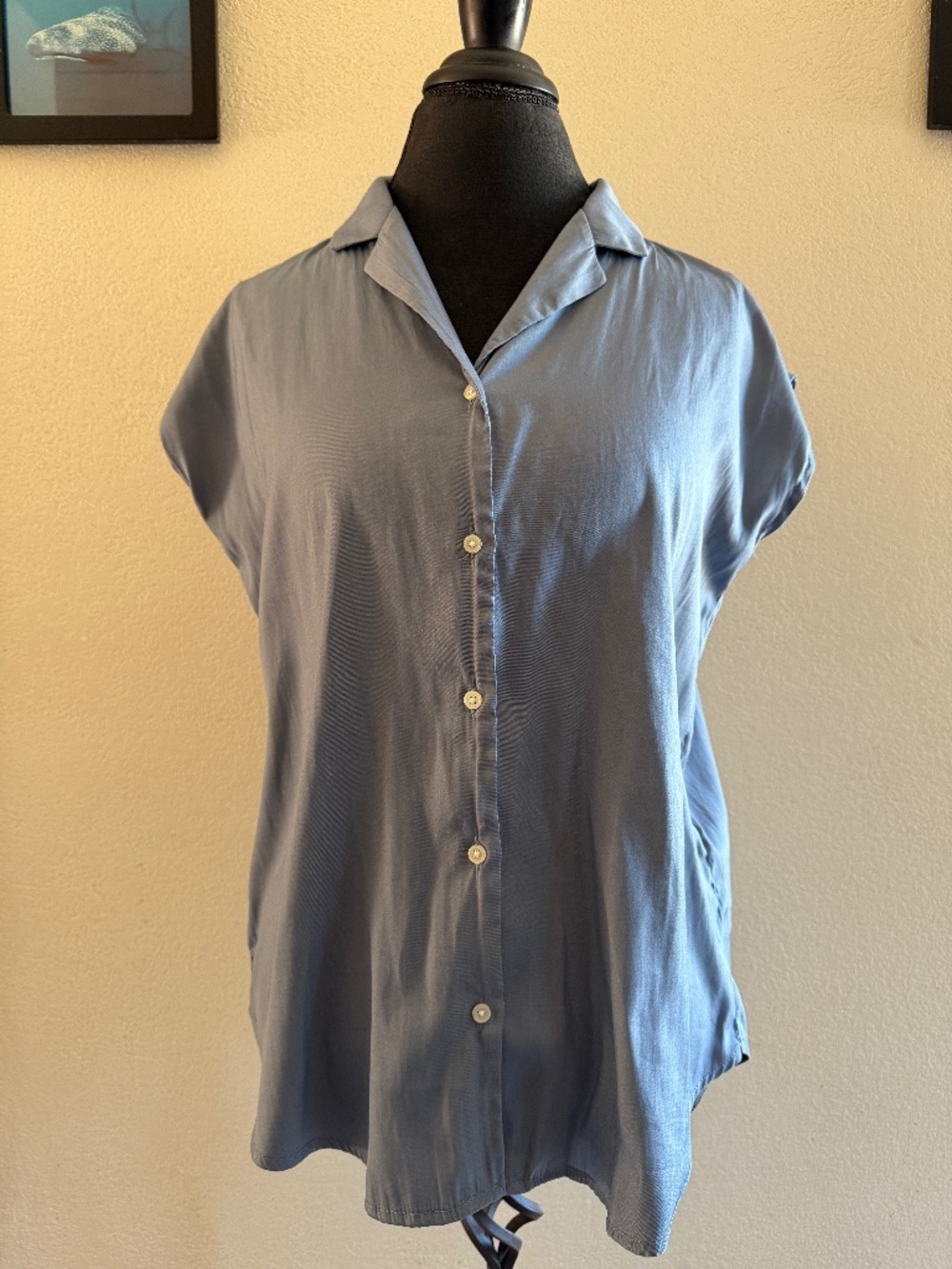 T Tahari baby blue button down top